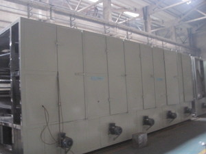 Dw Mesh Belt Dryer for Flesh Vegetable