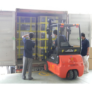 China Import Shipping Logistics Service in Shenzhen Bonded Warehouse